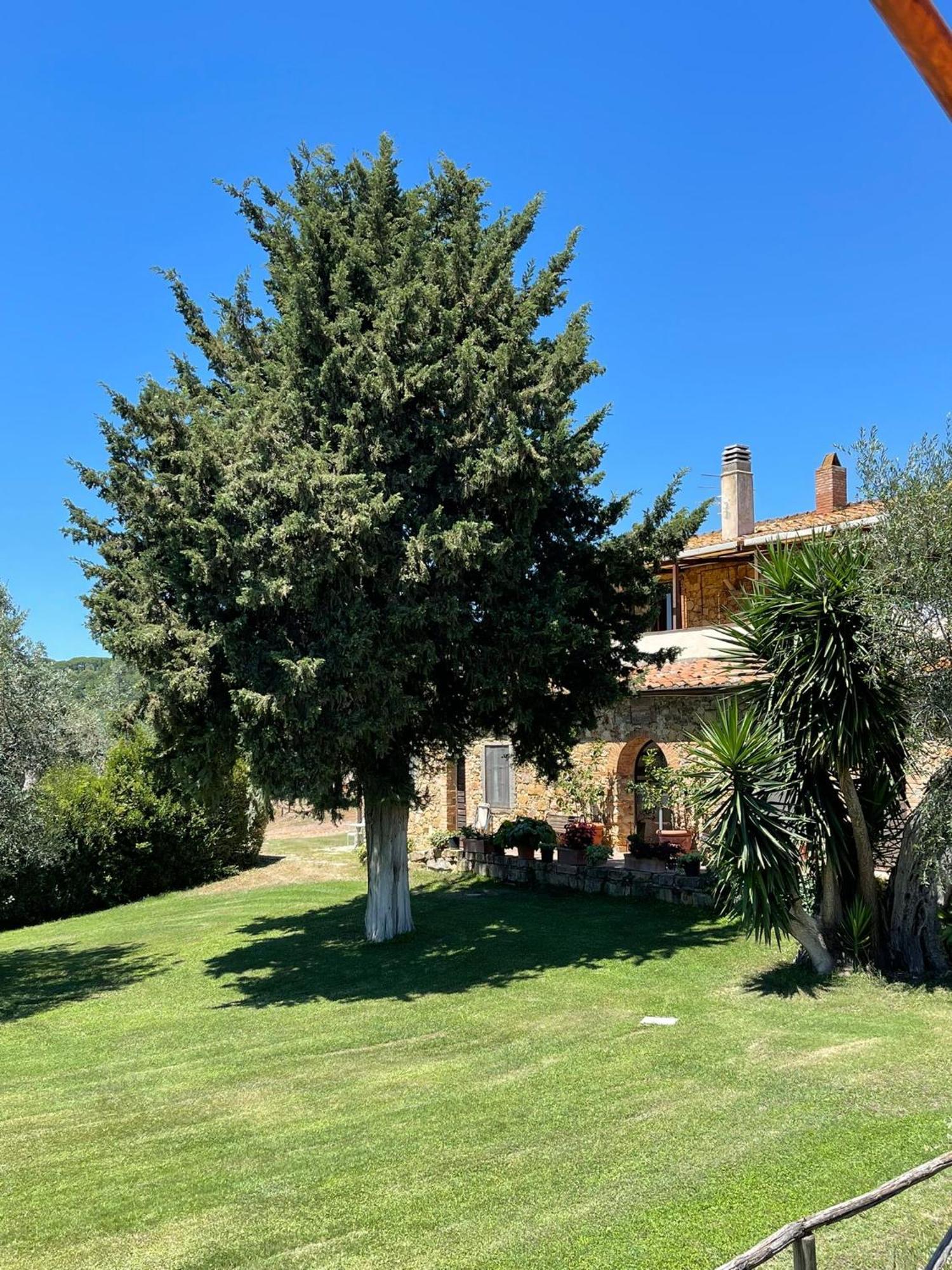 Tenuta Campospillo Magliano in Toscana Exterior photo